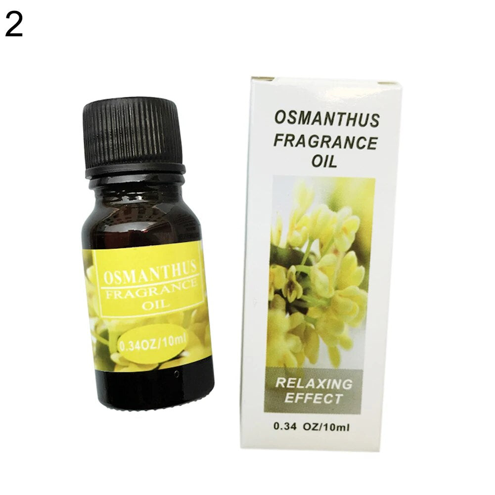 HOT SALES!!! New Arrival 10Ml Plant Essential Oil Water Soluble for Car Home Air Humidifier Freshener Wholesale Dropshipping