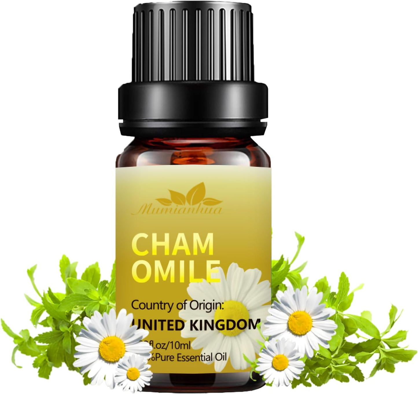 Chamomile Essential Oil  Pure Chamomile Oil Therapeutic Grade Chamomile Aromatherapy Oil for Skin, Diffuser, Humidifier, Candle Making, Soap Making, Hair 10Ml