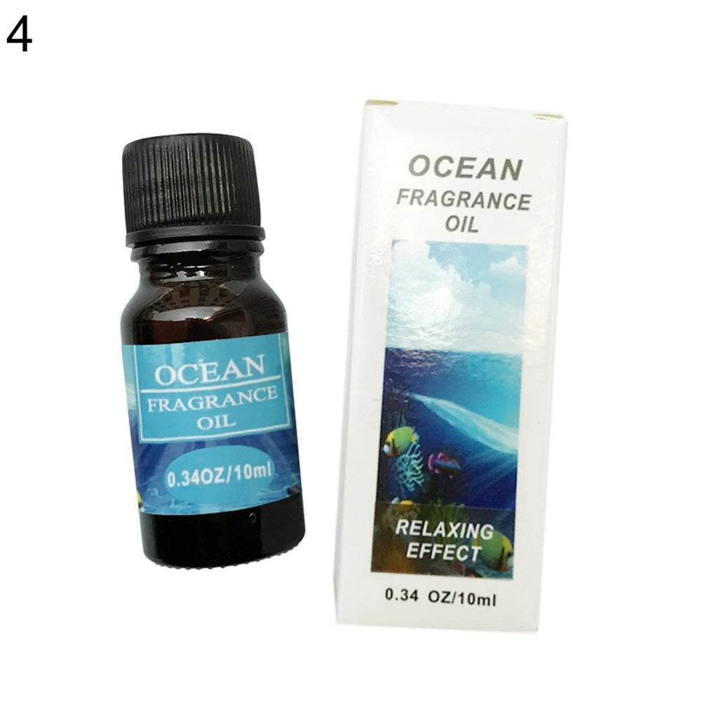 HOT SALES!!! New Arrival 10Ml Plant Essential Oil Water Soluble for Car Home Air Humidifier Freshener Wholesale Dropshipping